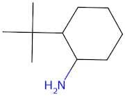 2-(tert-Butyl)cyclohexanamine