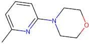 4-(6-Methylpyridin-2-yl)morpholine