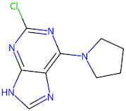 2-Chloro-6-(pyrrolidin-1-yl)-9H-purine
