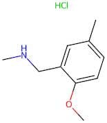 1-(2-Methoxy-5-methylphenyl)-N-methylmethanamine hydrochloride