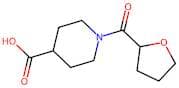 1-(Tetrahydrofuran-2-carbonyl)piperidine-4-carboxylic acid