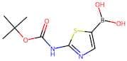 [2-[(2-methylpropan-2-yl)oxycarbonylamino]-1,3-thiazol-5-yl]boronic acid
