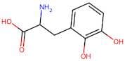 2-Amino-3-(2,3-dihydroxyphenyl)propanoic acid