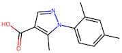 1-(2,4-Dimethylphenyl)-5-methyl-1h-pyrazole-4-carboxylic acid