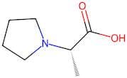 (S)-2-(1-Pyrrolidyl)propanoic Acid