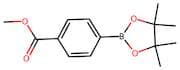 4-(Methoxycarbonyl)benzeneboronic acid, pinacol ester