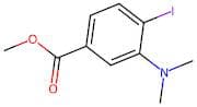 Methyl 3-(dimethylamino)-4-iodobenzoate