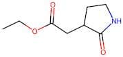 Ethyl 2-(2-oxopyrrolidin-3-yl)acetate
