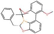 (2S,3S)-2-benzyl-3-(tert-butyl)-4-(2,6-dimethoxyphenyl)-2,3-dihydrobenzo[d][1,3]oxaphosphole