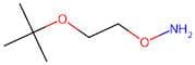 O-[2-(tert-Butoxy)ethyl]hydroxylamine