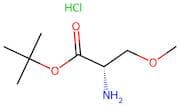 (S)-tert-Butyl 2-amino-3-methoxypropanoate hydrochloride