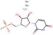 5'-Uridylic acid disodium salt xhydrate