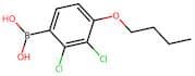(4-Butoxy-2,3-dichlorophenyl)boronic acid