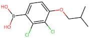 (2,3-Dichloro-4-isobutoxyphenyl)boronic acid