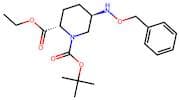(2S,5R)-1-tert-Butyl 2-ethyl 5-((benzyloxy)amino)piperidine-1,2-dicarboxylate