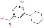 2-Morpholinoisonicotinic acid hydrochloride