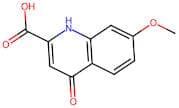 7-Methoxy-4-oxo-1,4-dihydroquinoline-2-carboxylic acid