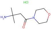 3-Amino-3-methyl-1-morpholinobutan-1-one hydrochloride