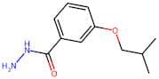 3-Isobutoxybenzohydrazide