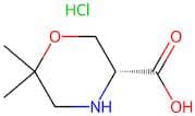 (R)-6,6-Dimethylmorpholine-3-carboxylic acid hydrochloride