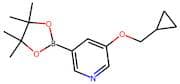 3-(Cyclopropylmethoxy)-5-(4,4,5,5-tetramethyl-1,3,2-dioxaborolan-2-yl)pyridine