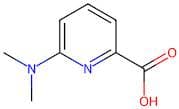 6-(Dimethylamino)picolinic acid