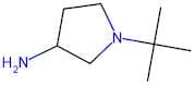 1-(tert-Butyl)pyrrolidin-3-amine