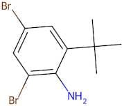 2,4-Dibromo-6-(tert-butyl)aniline
