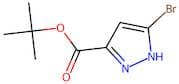 tert-Butyl 5-bromo-1H-pyrazole-3-carboxylate
