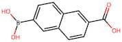 6-Borono-2-naphthoic acid