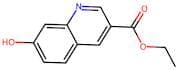 Ethyl 7-hydroxyquinoline-3-carboxylate