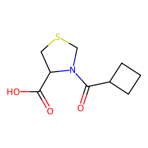 3-Cyclobutanecarbonyl-1,3-thiazolidine-4-carboxylic acid
