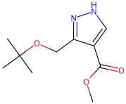 Methyl 3-(tert-butoxymethyl)-1H-pyrazole-4-carboxylate