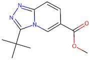 Methyl 3-(tert-butyl)-[1,2,4]triazolo[4,3-a]pyridine-6-carboxylate