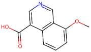 8-Methoxyisoquinoline-4-carboxylic acid
