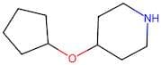 4-(Cyclopentyloxy)piperidine
