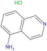 Isoquinolin-5-amine hydrochloride