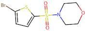 4-((5-Bromothiophen-2-yl)sulfonyl)morpholine
