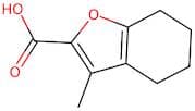 3-Methyl-4,5,6,7-tetrahydrobenzofuran-2-carboxylic acid