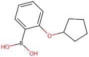 (2-(Cyclopentyloxy)phenyl)boronic acid