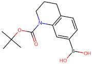 (1-(tert-Butoxycarbonyl)-1,2,3,4-tetrahydroquinolin-7-yl)boronic acid