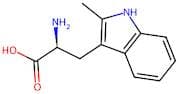 (S)-2-Amino-3-(2-methyl-1H-indol-3-yl)propanoic acid