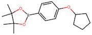 2-(4-(Cyclopentyloxy)phenyl)-4,4,5,5-tetramethyl-1,3,2-dioxaborolane