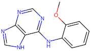 N-(2-Methoxyphenyl)-7H-purin-6-amine