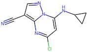 5-chloro-7-(Cyclopropylamino)pyrazolo[1,5-a]pyrimidine-3-carbonitrile