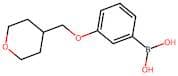 3-(Tetrahydro-2H-pyran-4-yl)methoxyphenylboronic acid