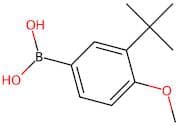 (3-(tert-Butyl)-4-methoxyphenyl)boronic acid