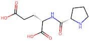(S)-2-((S)-Pyrrolidine-2-carboxamido)pentanedioic acid