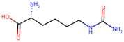 (R)-2-Amino-6-ureidohexanoic acid