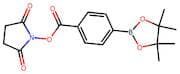2,5-Dioxopyrrolidin-1-yl 4-(4,4,5,5-tetramethyl-1,3,2-dioxaborolan-2-yl)benzoate